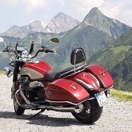 Guzzi - Mann