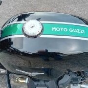 GutoMozzi